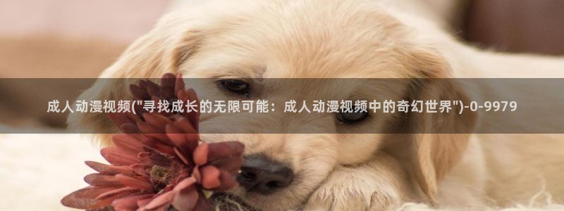 盗墓笔记动漫:成人动漫视频(\